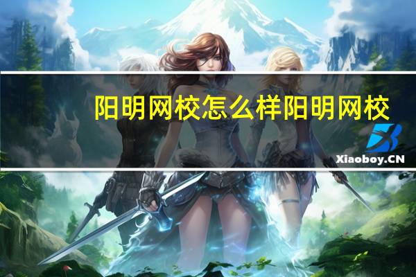 阳明网校怎么样 阳明网校