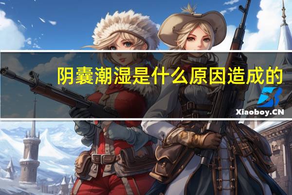 阴囊潮湿是什么原因造成的（yindang）