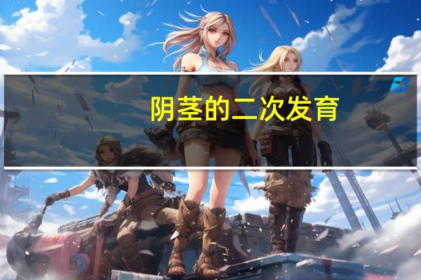 阴茎的二次发育