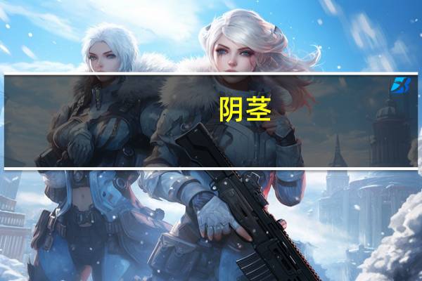 阴茎（关于阴茎的介绍）