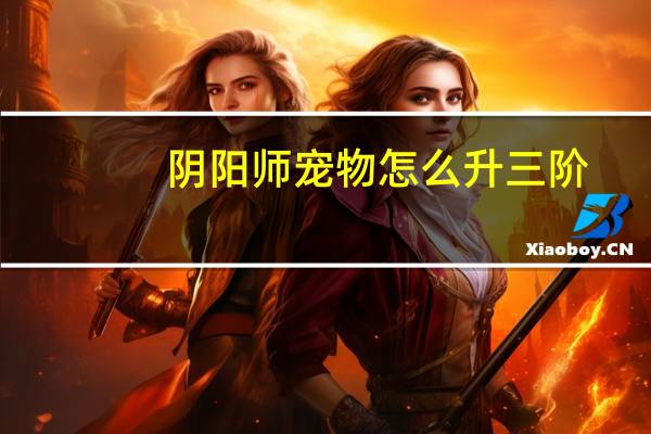 阴阳师宠物怎么升三阶