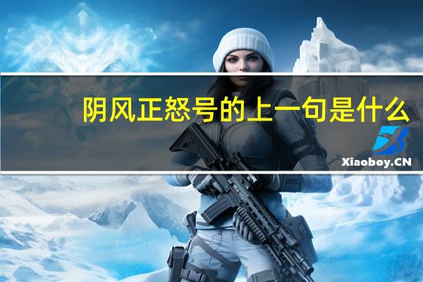 阴风正怒号的上一句是什么