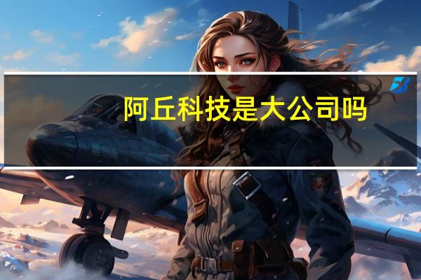 阿丘科技是大公司吗