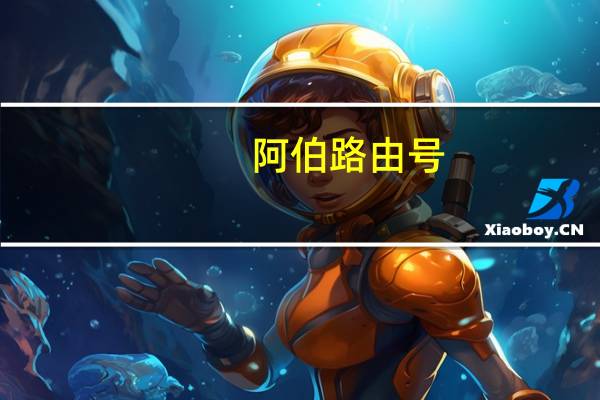 阿伯路由号