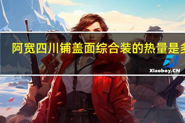 阿宽 四川铺盖面综合装的热量是多少