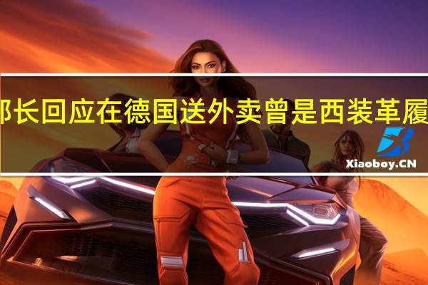 阿富汗前部长回应在德国送外卖 曾是西装革履保镖簇拥的生活