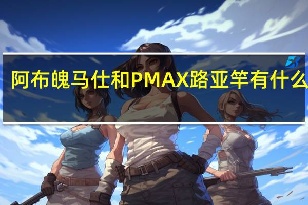 阿布魄马仕和PMAX路亚竿有什么区别