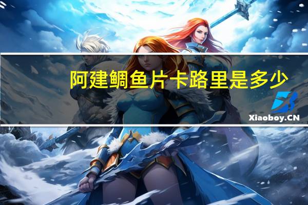 阿建 鲷鱼片卡路里是多少