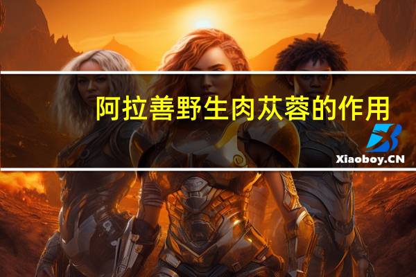 阿拉善野生肉苁蓉的作用（苁蓉的作用）