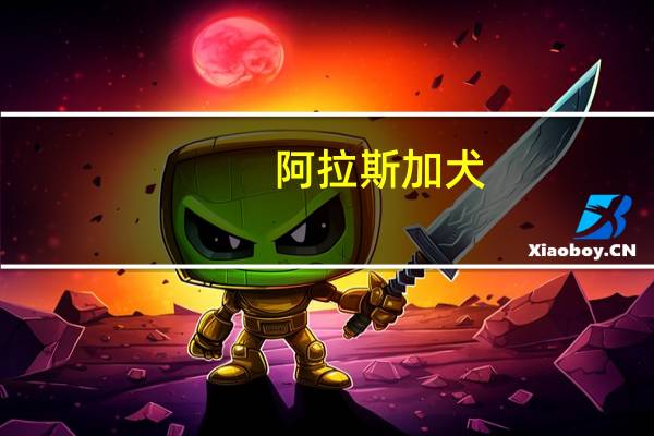 阿拉斯加犬（关于阿拉斯加犬的介绍）