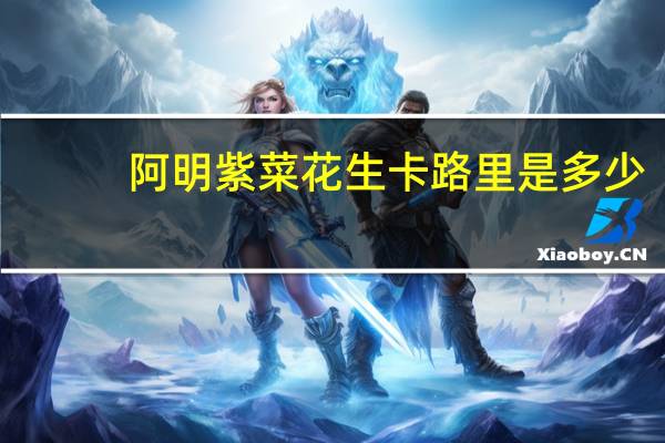 阿明紫菜花生卡路里是多少