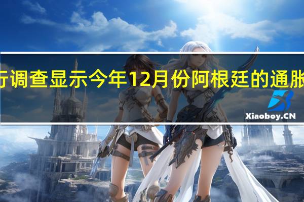 阿根廷央行调查显示今年12月份阿根廷的通胀年率将达到169.3%