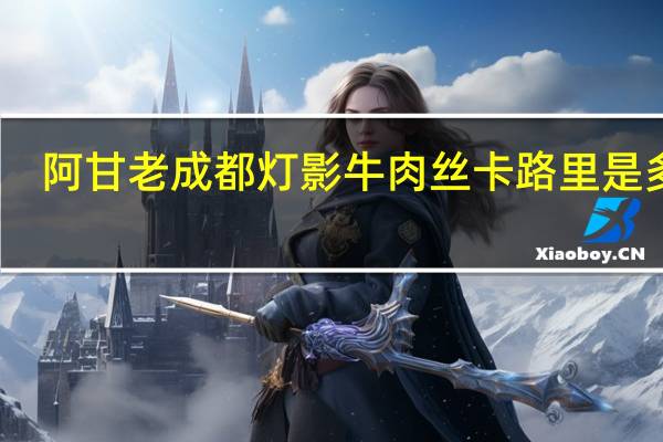 阿甘 老成都灯影牛肉丝卡路里是多少