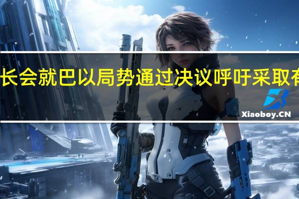阿盟紧急外长会就巴以局势通过决议 呼吁采取有效行动实现停火