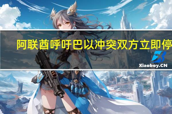 阿联酋呼吁巴以冲突双方立即停火