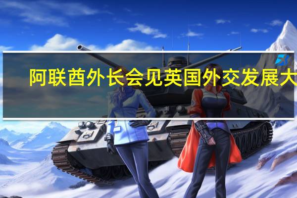 阿联酋外长会见英国外交发展大臣