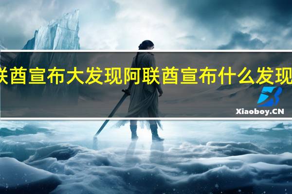 阿联酋宣布大发现 阿联酋宣布什么发现又发财了