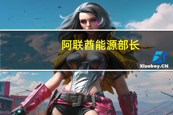 阿联酋能源部长：为了使油价合理需要进行投资
