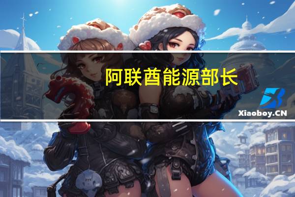 阿联酋能源部长：我们已经警告了很长时间仍然认为这是一个吸引投资的问题