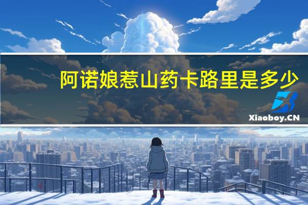 阿诺 娘惹山药卡路里是多少