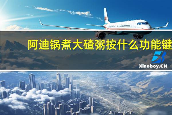 阿迪锅煮大碴粥按什么功能键
