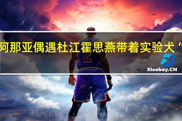 阿那亚偶遇杜江霍思燕带着实验犬“珍珠”