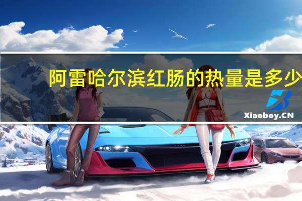 阿雷 哈尔滨红肠的热量是多少