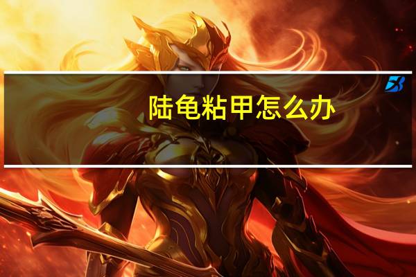 陆龟粘甲怎么办