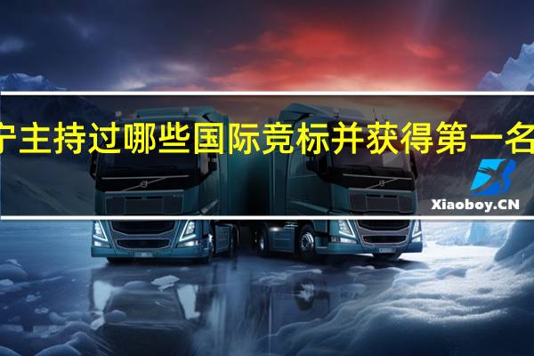 陈启宁主持过哪些国际竞标并获得第一名的规划项目