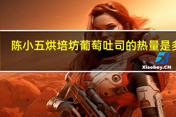 陈小五烘培坊 葡萄吐司的热量是多少