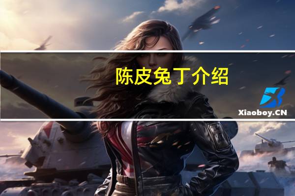 陈皮兔丁介绍