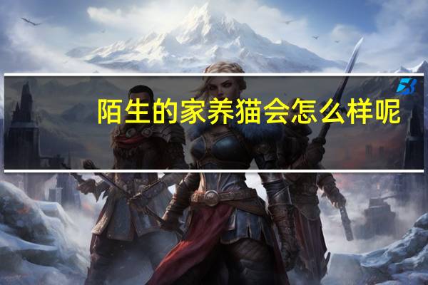 陌生的家养猫会怎么样呢