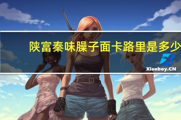 陕富 秦味臊子面卡路里是多少