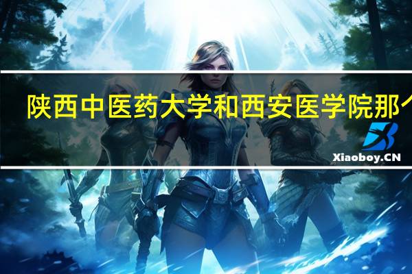 陕西中医药大学和西安医学院那个好