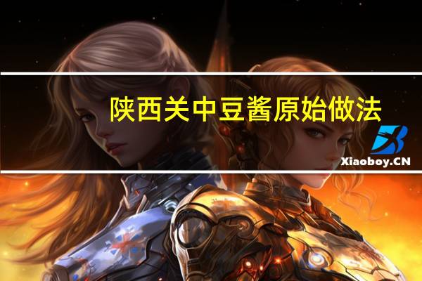 陕西关中豆酱原始做法