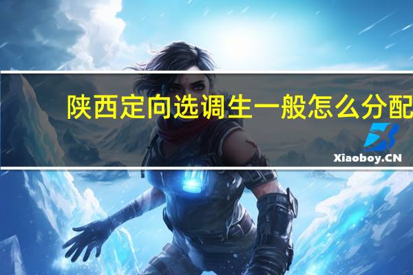 陕西定向选调生一般怎么分配