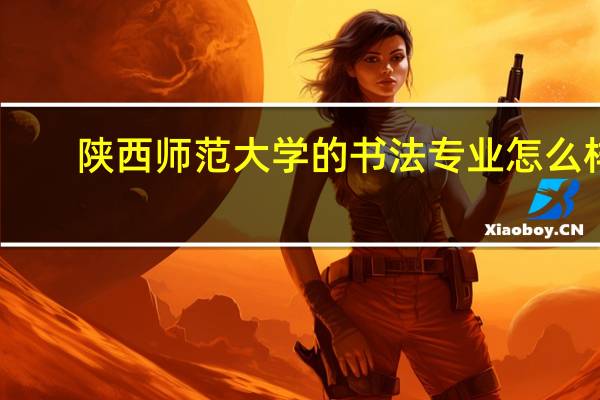 陕西师范大学的书法专业怎么样