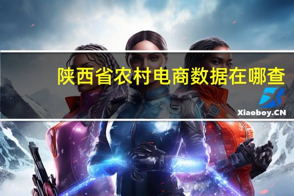 陕西省农村电商数据在哪查