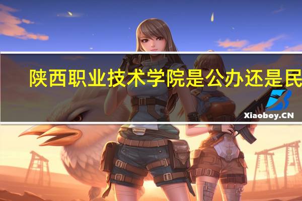 陕西职业技术学院是公办还是民办