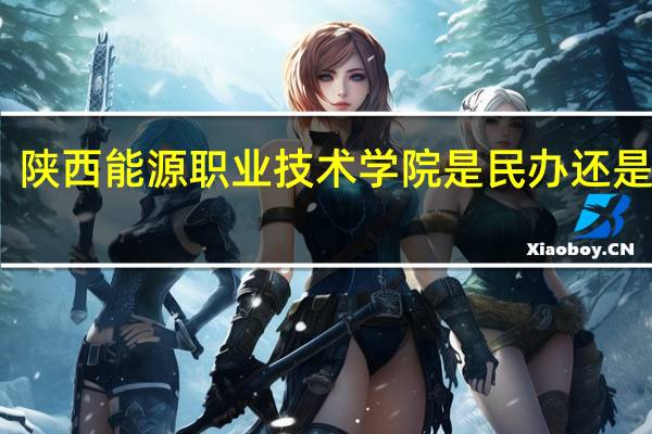 陕西能源职业技术学院是民办还是公办