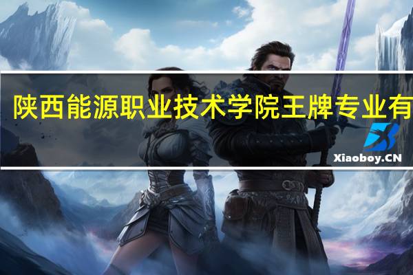 陕西能源职业技术学院王牌专业有哪些