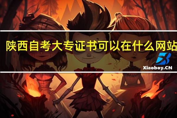 陕西自考大专证书可以在什么网站查询