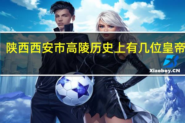 陕西西安市高陵历史上有几位皇帝埋葬