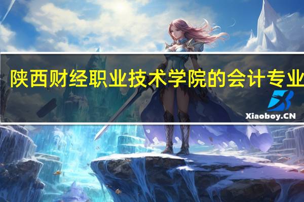 陕西财经职业技术学院的会计专业好吗