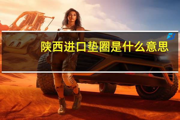 陕西进口垫圈是什么意思