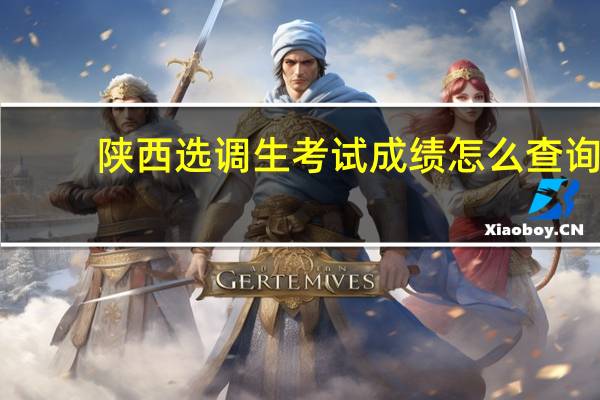 陕西选调生考试成绩怎么查询