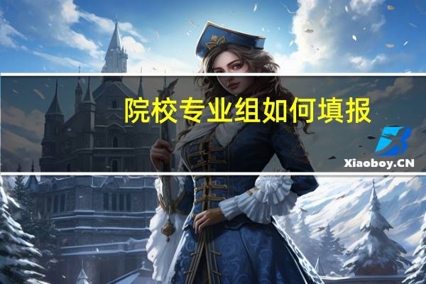 院校专业组如何填报