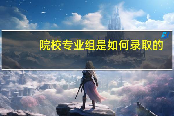 院校专业组是如何录取的
