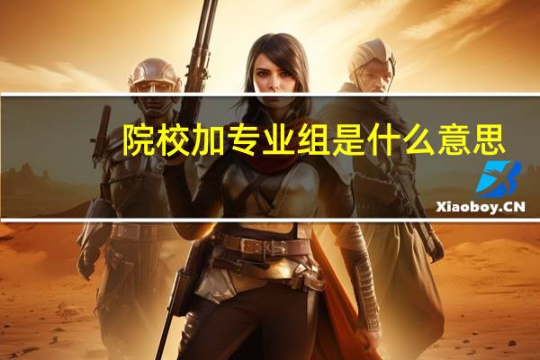 院校加专业组是什么意思