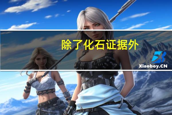 除了化石证据外,研究人类的起源和发展,还有什么方法